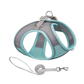 Arnés para Perros Pequeños y Medianos, sin Tirones, Juego de Arnés y Correa para Cachorros, Adecuado para Caminar Correr Entrenar Arnés para Perros Pequeños Arnés para Perros Medianos (Verde Claro, S)