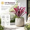 Artificial Dragon Blood Plant Set, 6 Pack Outdoor Cordyline Fack