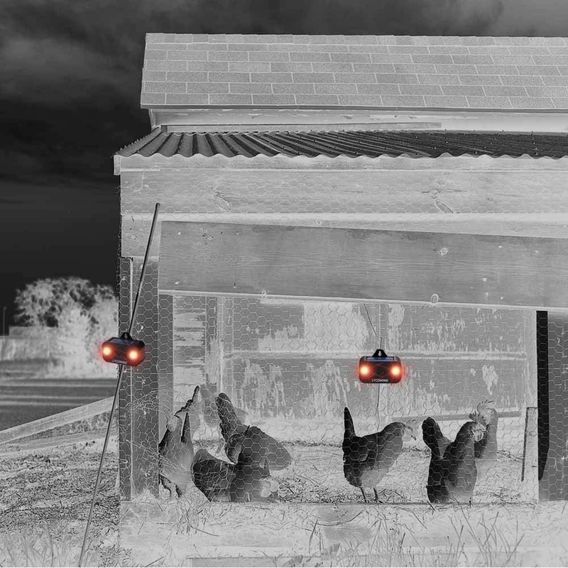 Lycoming Skunk Repellent Predator Light for Nighttime Animals Solar Predator
