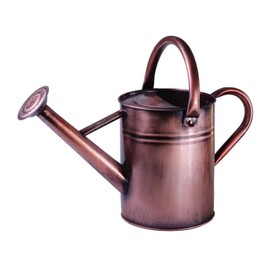 Lechloris Metal Watering Can for Outdoor Plants, 1 Gallon Galvanized Steel Watering Can with Removable spout for Outdoor & Indoor Use, Perfect for Garden Flower, Houseplants, Copper
