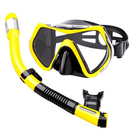 Snorkel Set Adults,Snorkel Mask Anti-Fog Panoramic View Diving Mask Dry Top Snorkel Kit Anti-Leak Snorkeling Gear for Snorkeling Scuba Diving Swimming Travel with Carry Bag