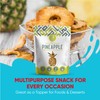 Crispy Craze Freeze Dried Pineapple (6 Snack Sized Bags, 0.52