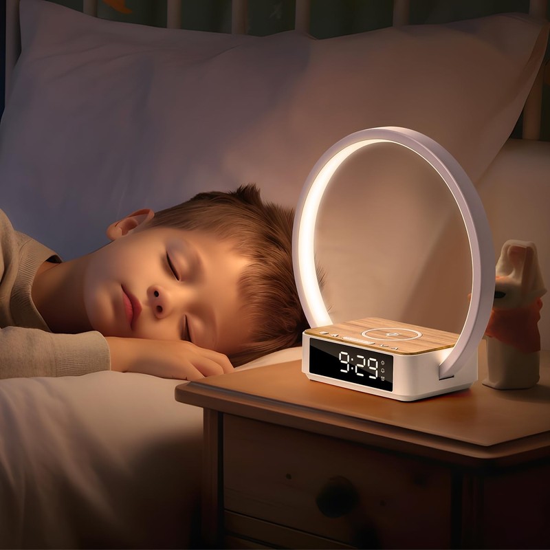Morwealth LED Bedside Lamp Touch Dimmable with Charging Function, 10