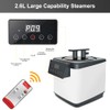 Smartmak Sauna Steamer Pot 2.6 L, Portable Steam Generator Set