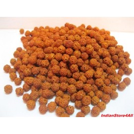 IS4A Natural Lot of Rudraksh |RUDRAKSHA Seed Beads |MALA Beads |Genuine Himalayan Beads |Meditation Prayer Beads |Bodhi Seed 1000 8 mm Loose Beads Jewelry Making, DIY