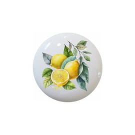 Lemons Lemon Fruit Fruits Kitchen Designs - DECORATIVE Ceramic Dresser Drawer PULLS Cabinet Cupboard KNOBS (#3)