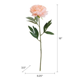 Elements Blush Peony Artificial Flower Stem, Fake Flowers for Home Decoration, 6x3.5x18 Inch