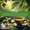 HERBALISTA - Té de hojas de guayaba enteras de cosecha