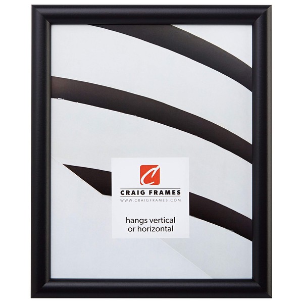 Craig Frames Bullnose, 17x22 Picture Frame, Gallery Black