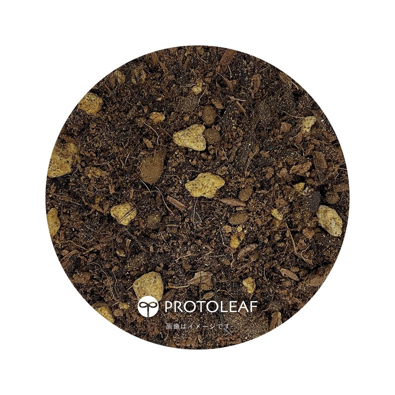 Protleaf, Ornamental Plant Soil, 0.6 gal (2 L)
