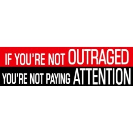 Wrapped In Ink Political Bumper Stickers -Outraged Not Paying Attention  5" wide 10-pack #004