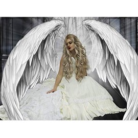 WOWDECOR Paint by Numbers Kits for Adults Kids, Diy Oil Painting - White Angel Girl 16x20 inch (Frameless)