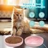 Silicone Dog Bowl Shallow Cat Food Bowls, 6 Inch Wide