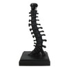 Ebros Gift Gothic Ossuary Black Vertebrae Back Bones Spine Skeleton