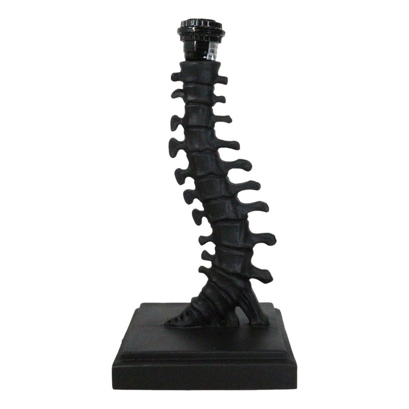 Ebros Gift Gothic Ossuary Black Vertebrae Back Bones Spine Skeleton