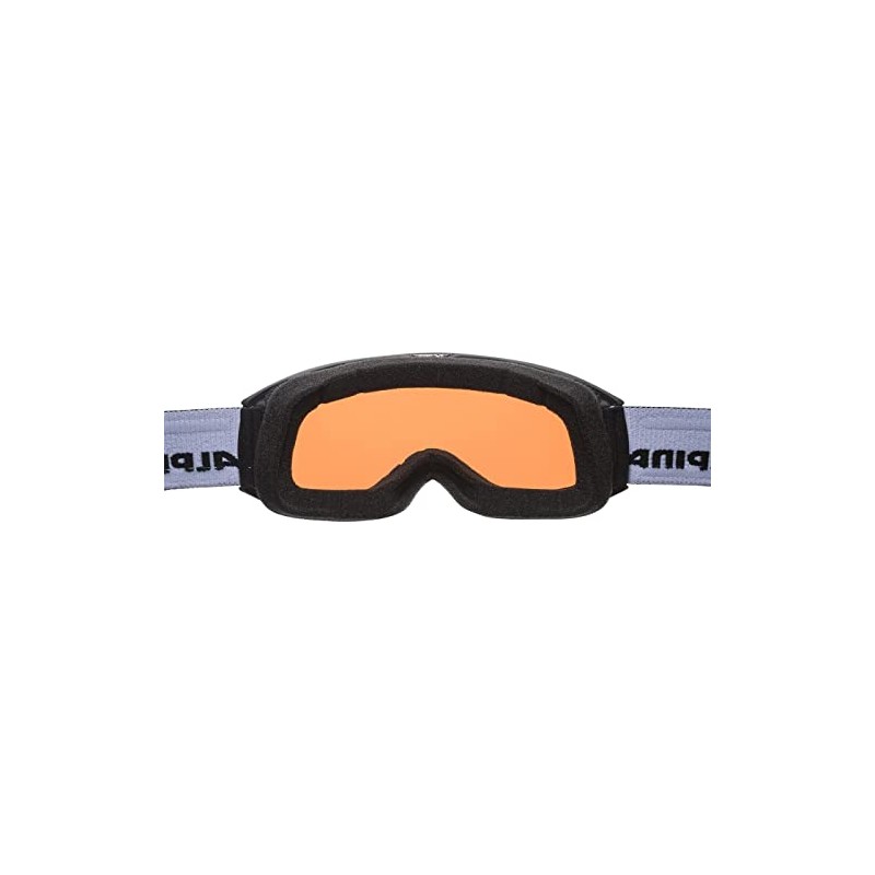Alpina Nakiska Q Ski Goggles, Matte Black, One Size
