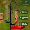 Kingsyard Bird Feeding Station Kit - 85 Inch Bird Feeder