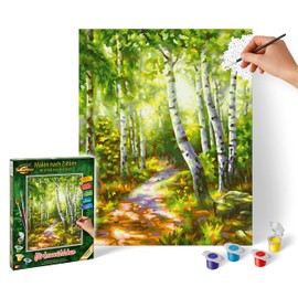 Schipper 609240801 Painting by Number Birch Forest 24 x 30 cm