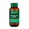 Thompson's Slippery Elm Bark 800mg 120 Tablets (Expiry 07/2025)