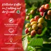 Senseo Classic Medium Roast Coffee Pods, Single Serve Pods Bulk
