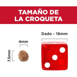 Hill's Small & Mini alimento perro adulto raza pequeña 7Kg