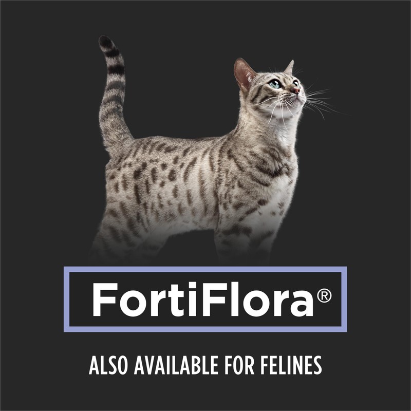 Pro Plan Veterinary Diets Purina Pro Plan Veterinary Supplements Fortiflora