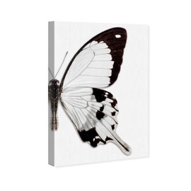 The Oliver Gal Artist Co. Animals Wall Art Canvas Prints 'Monochrome Butterfly II' Insects Home Décor, 16" x 24", Black, White