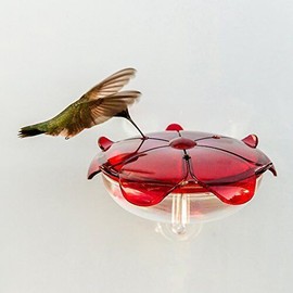 Droll Yankees RS-3WC FBA_RS-3WC Hummingbird Feeder, Window Mounted Outdoor Fe...
