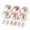 6 Colors Rose Gold & Gold Series Mirrored Powder Metallic