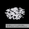 Kamidananosato Simple Octagonal Saltwater Set with Everything You Need -