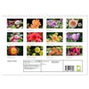 Dahlien Poesie (Wandkalender 2026 DIN A4 quer), CALVENDO Monatskalender: Dahlien