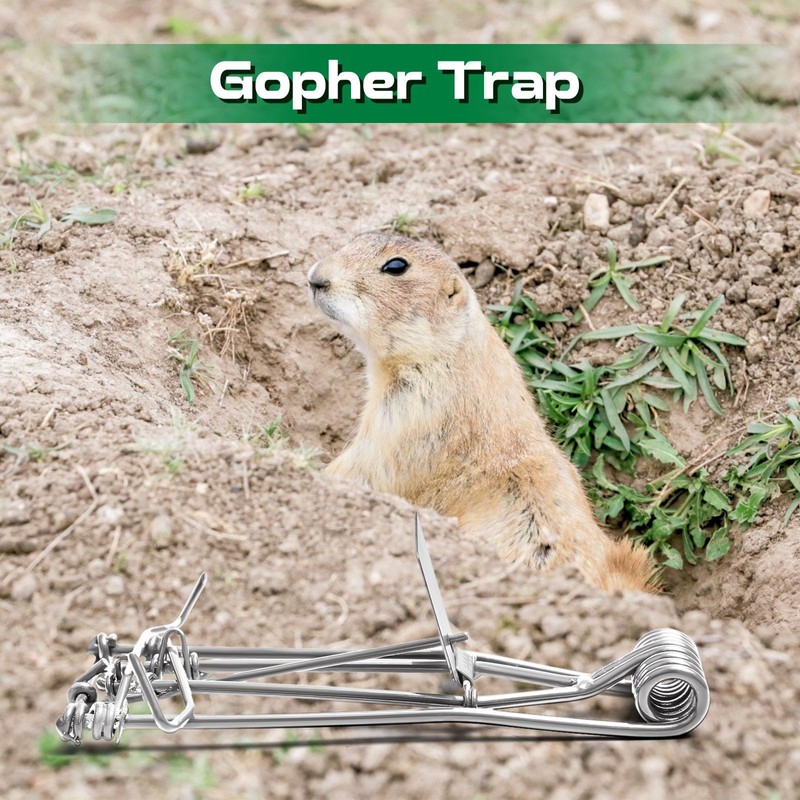Qualirey 4 Pcs Outdoor Gopher Trap Easy Set Mole Trap