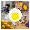 Tongdejing Lemon Saver for Fridge, Lemon Keeper Lemon Storage Containers