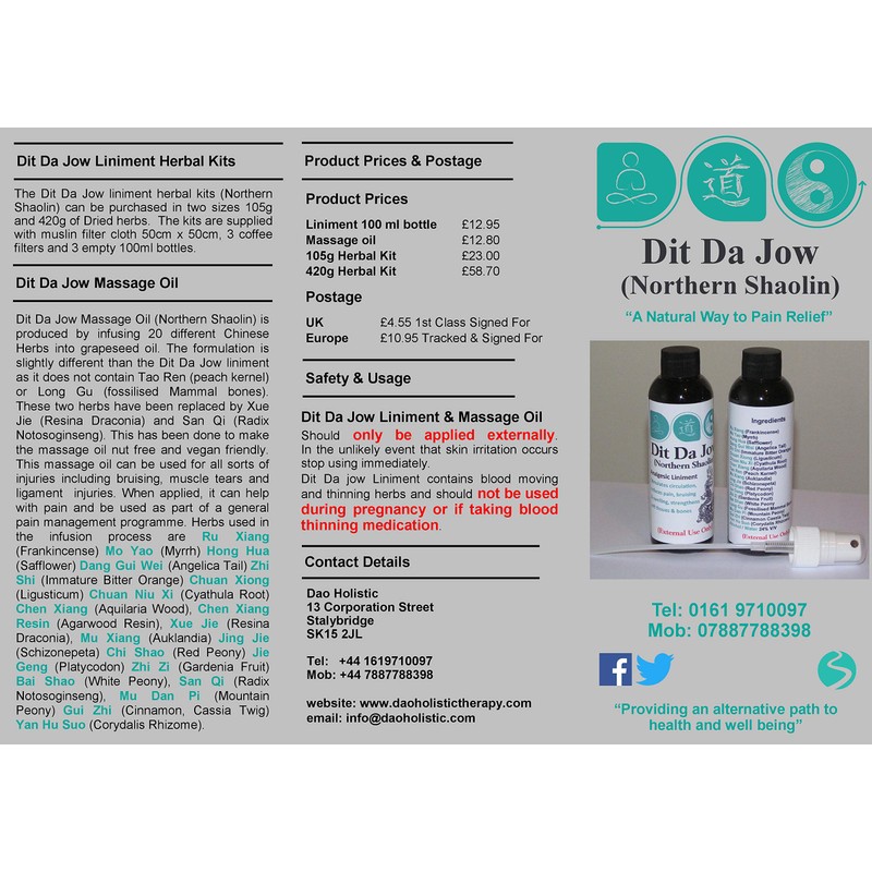 Dit Da Jow Gel (Northern Shaolin) 100ml