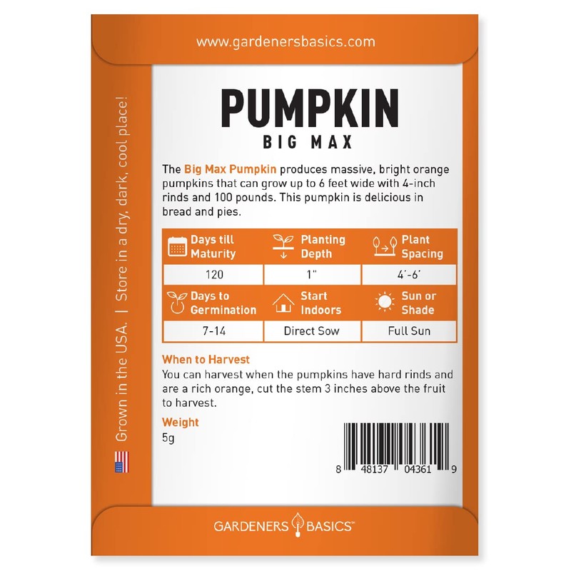 Pumpkin Seeds for Planting (Big Max) Heirloom, Non-GMO Vegetable Variety-