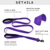 Wagtime Club Soft &Thick Dual Handle 6FT Dog Leash, Premium