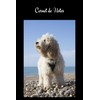 Carnet de Notes: Cockapoo. Cahier de notes chien Cockapoodle ou