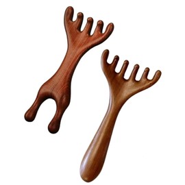 KGDUYC 2 Pieces Head Meridian Massage Comb, Gua Sha Scalp Comb, Multifunctional Body Massager, Meridian Massager for Head Care, Relaxation