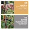 BESPORTBLE Essentials: 20 Pcs Branches Trunk Moderators Plant Stake Support