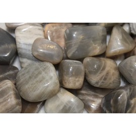 Black Moonstone Tumbled - Healing Stone - 20-25mm (5)