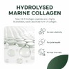 Marine Collagen Powder 10,000mg – Type I & III Fish