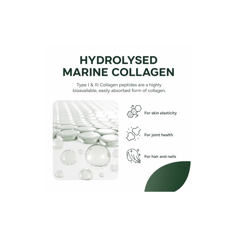 Marine Collagen Powder 10,000mg – Type I & III Fish