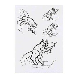 4 x 'Beaver' Temporary Tattoos - Water Resistant, Skin-Safe, Non-Toxic Transfers, Mixed Sizes (TO00056484)