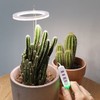LED Plant Grow Light 5 Dimmable Modes 4 Head Timing