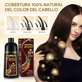 Dark Brown Hair Dye Shampoo 3 in 1, Shampoo para Canas con Tinte, Champú para Teñir el Cabello Marrón Oscuro, Champú Tinte Cubre Canas para Mujer y Ho