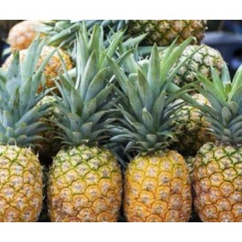 NorthWood Distributing Pineapple - Premium Fragrance Oils for Diffusers for Home, Massage, Soap, Candle Making Scents