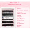 Cluster Lashes 200pcs DIY Eyelash Extension D Curl Long Individual