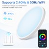HomeKit Smart LED Ceiling Lights RGBCW Color Changing Ceiling Light