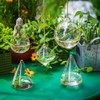 Glasseam Hanging Planters Glass Terrarium: 5Pcs Modern Plant Propagation Stations