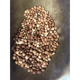American Seed Dixie Lee Pea Seed 1/2 pound.  Heirloom! Seed Home Garden. Cowpeas.